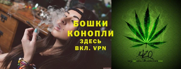 первитин Богородицк