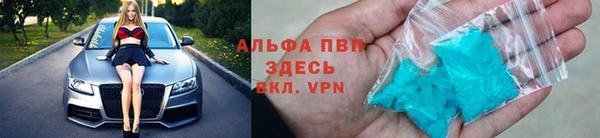 таблы Богданович