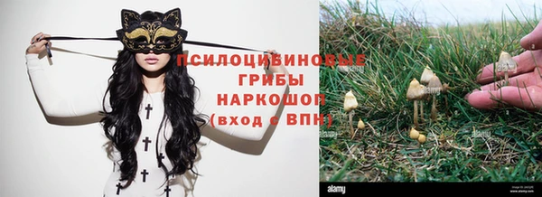 таблы Богданович